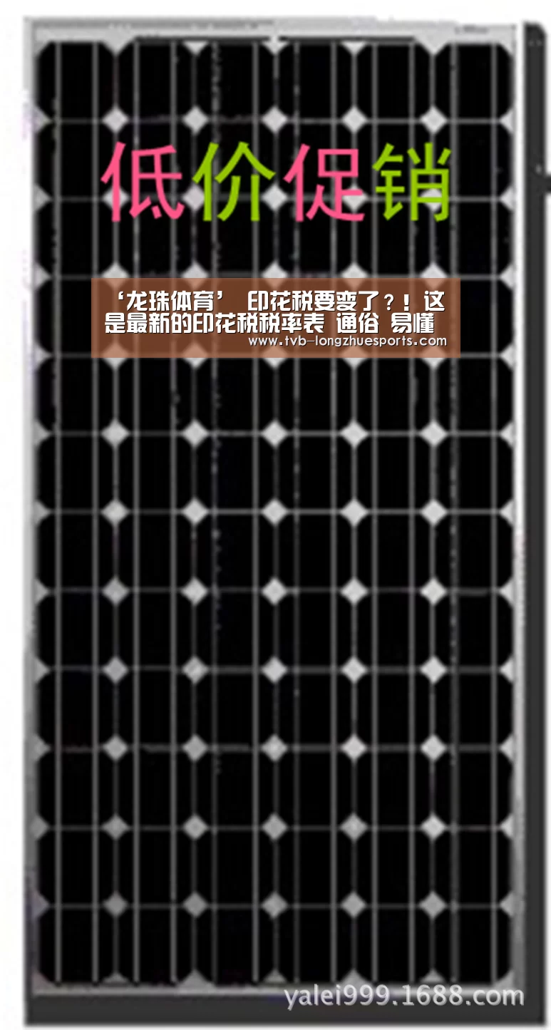 龙珠体育