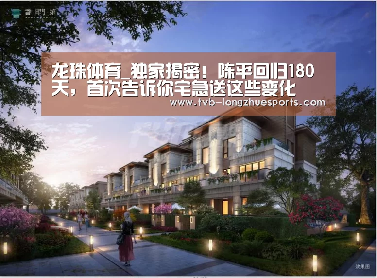 龙珠体育