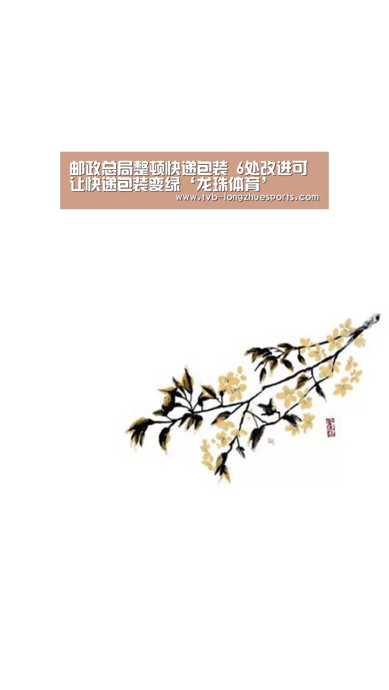 龙珠体育