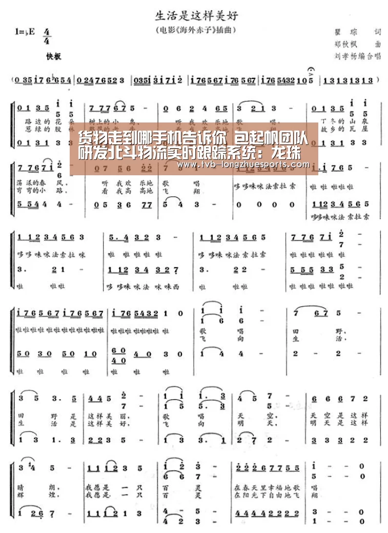 龙珠体育