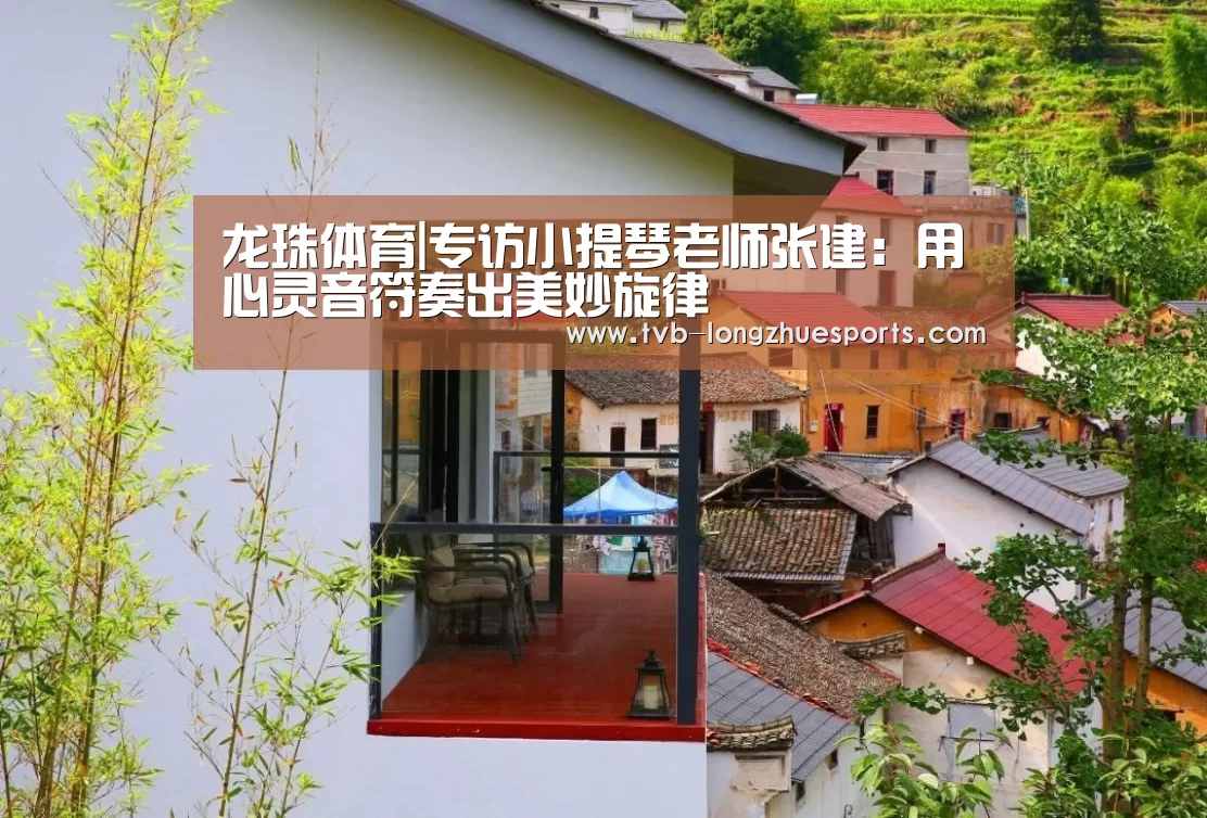 龙珠体育