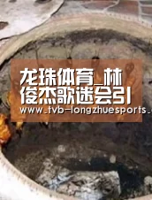 龙珠体育
