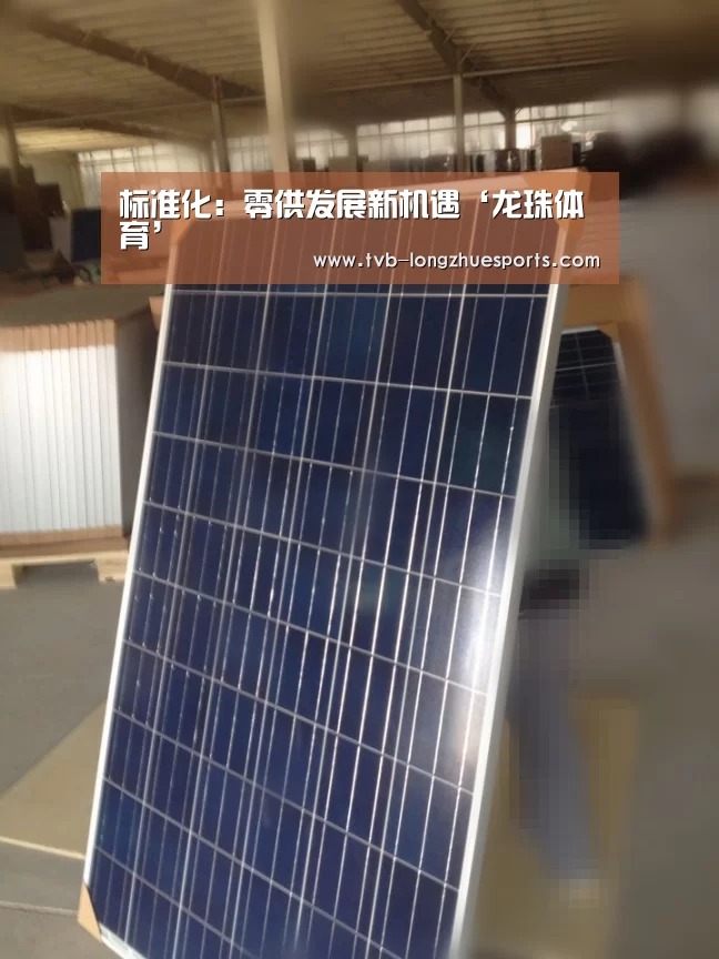 龙珠体育