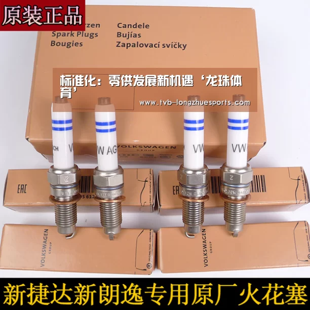 龙珠体育