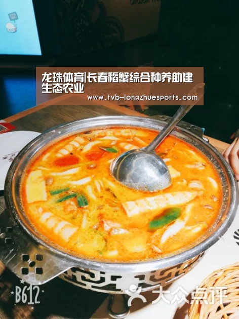 龙珠体育