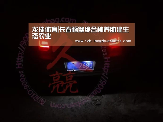龙珠体育
