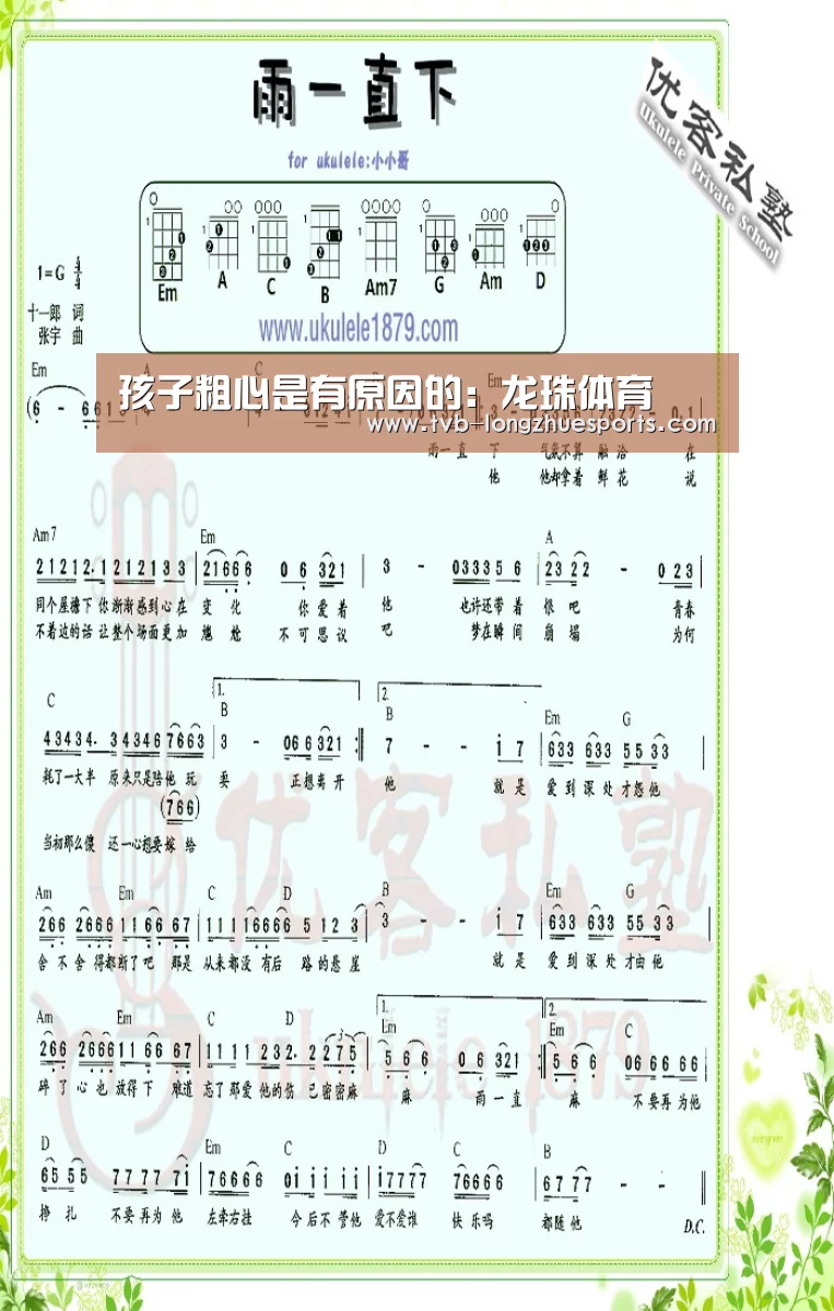 龙珠体育