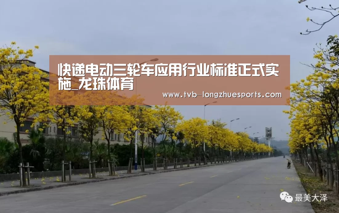 龙珠体育
