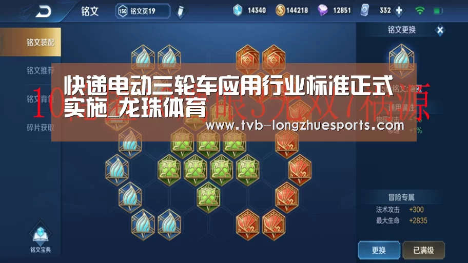 龙珠体育