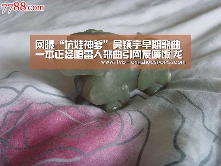 龙珠体育