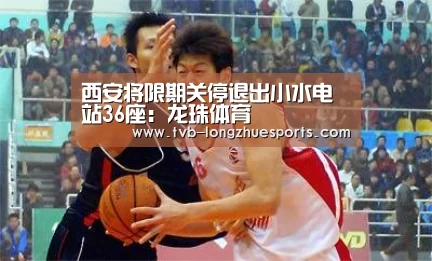 龙珠体育