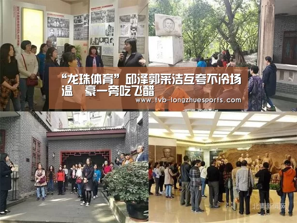 龙珠体育