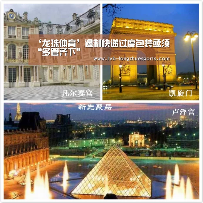 龙珠体育