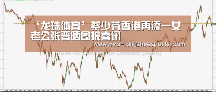龙珠体育