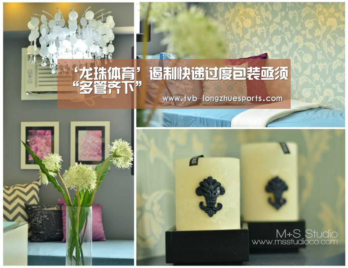 龙珠体育