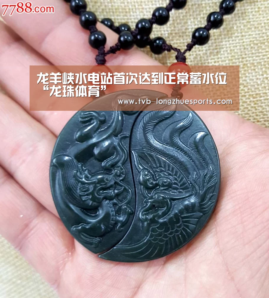 龙珠体育