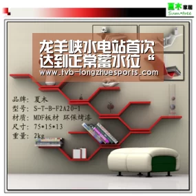 龙珠体育
