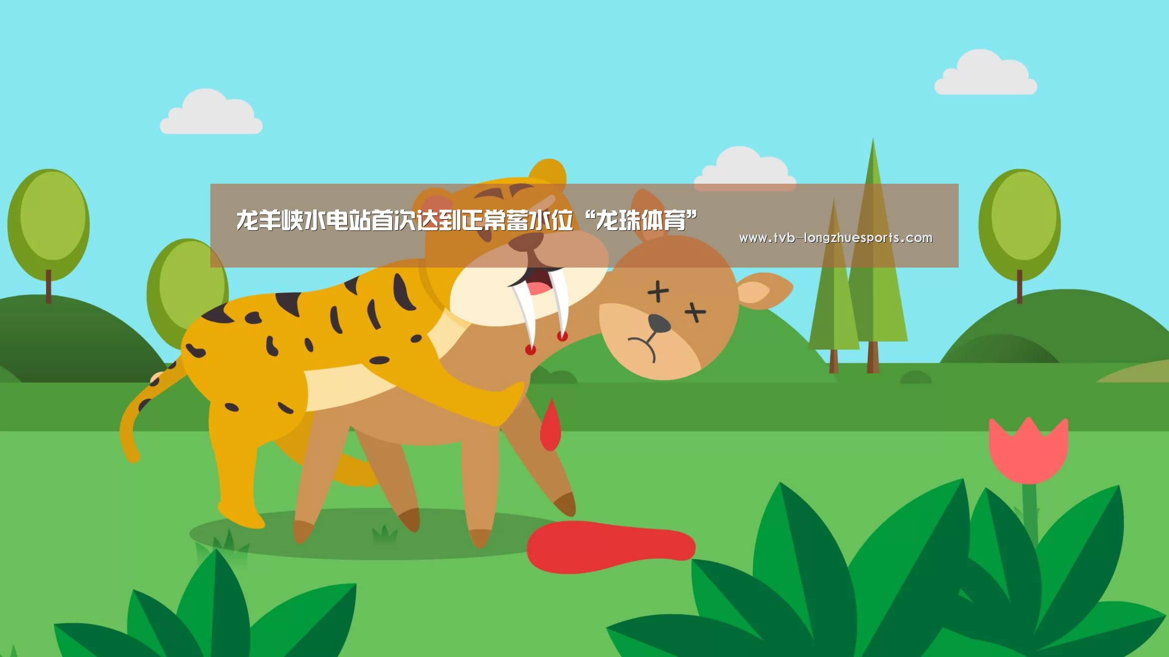 龙珠体育